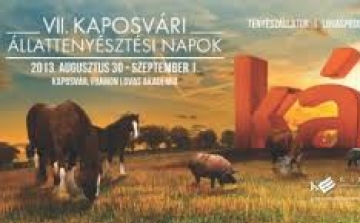 A Dunántúl legnagyobb állattenyésztési kiállítása kezdődik pénteken Kaposváron