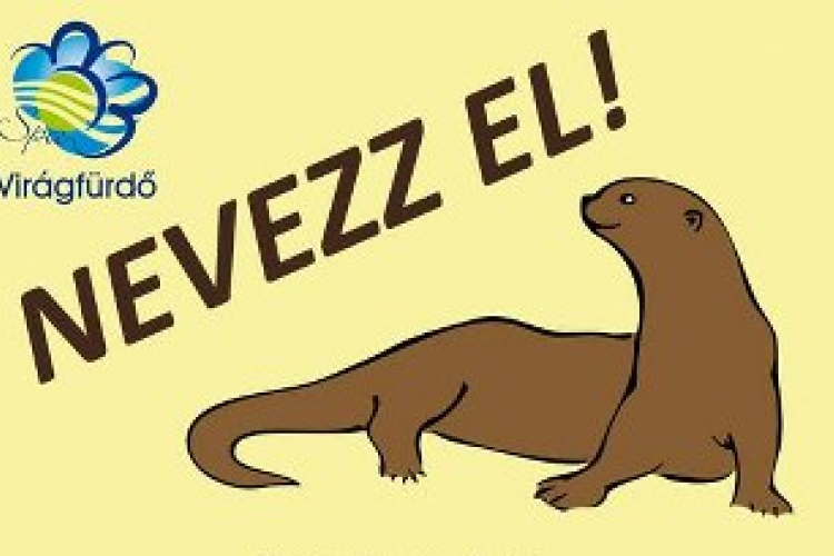 Nevezd el a Virágfürdő új kabalaállatát -Pályázat