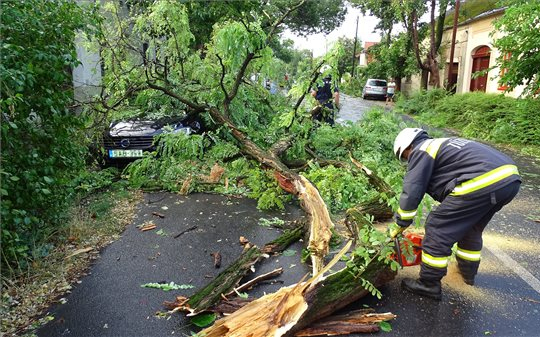 Gyűjtést szervez a Magyar Vöröskereszt a viharkárosultaknak