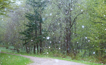 Meteorológia: a Kékestetőn havas eső, hó esett, elsején négy melegrekord is megdőlt