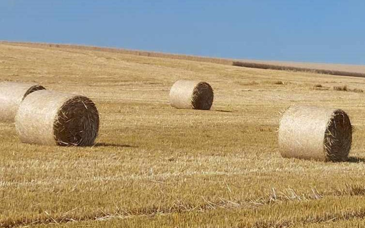 Az agrárminiszter szeretné betiltani a szalmabálák erőművi értékesítését