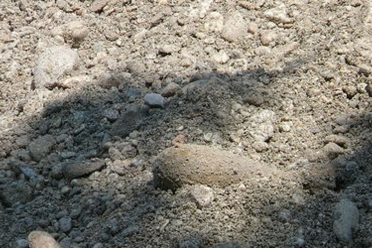 Elszállították a Kaposváron talált aknagránátokat